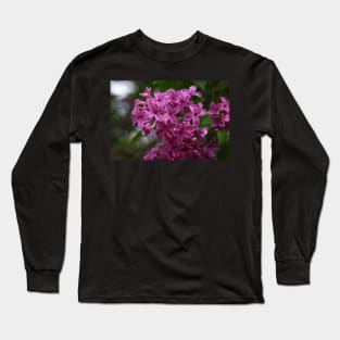 Lilacs Long Sleeve T-Shirt